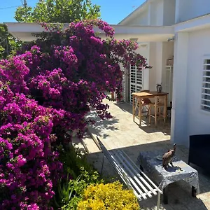  Gasthof Il Platano Di Nathaly